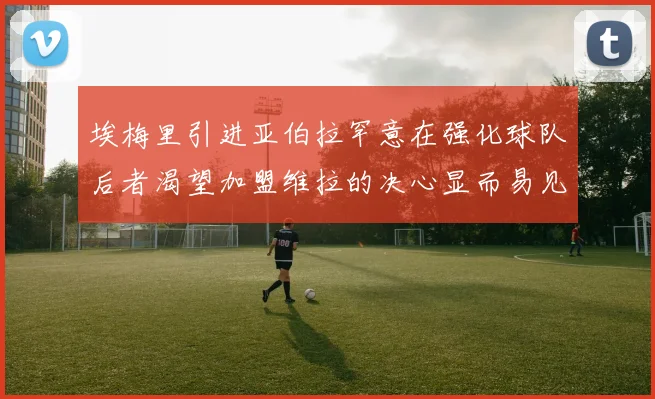 埃梅里引进亚伯拉罕意在强化球队后者渴望加盟维拉的决心显而易见
